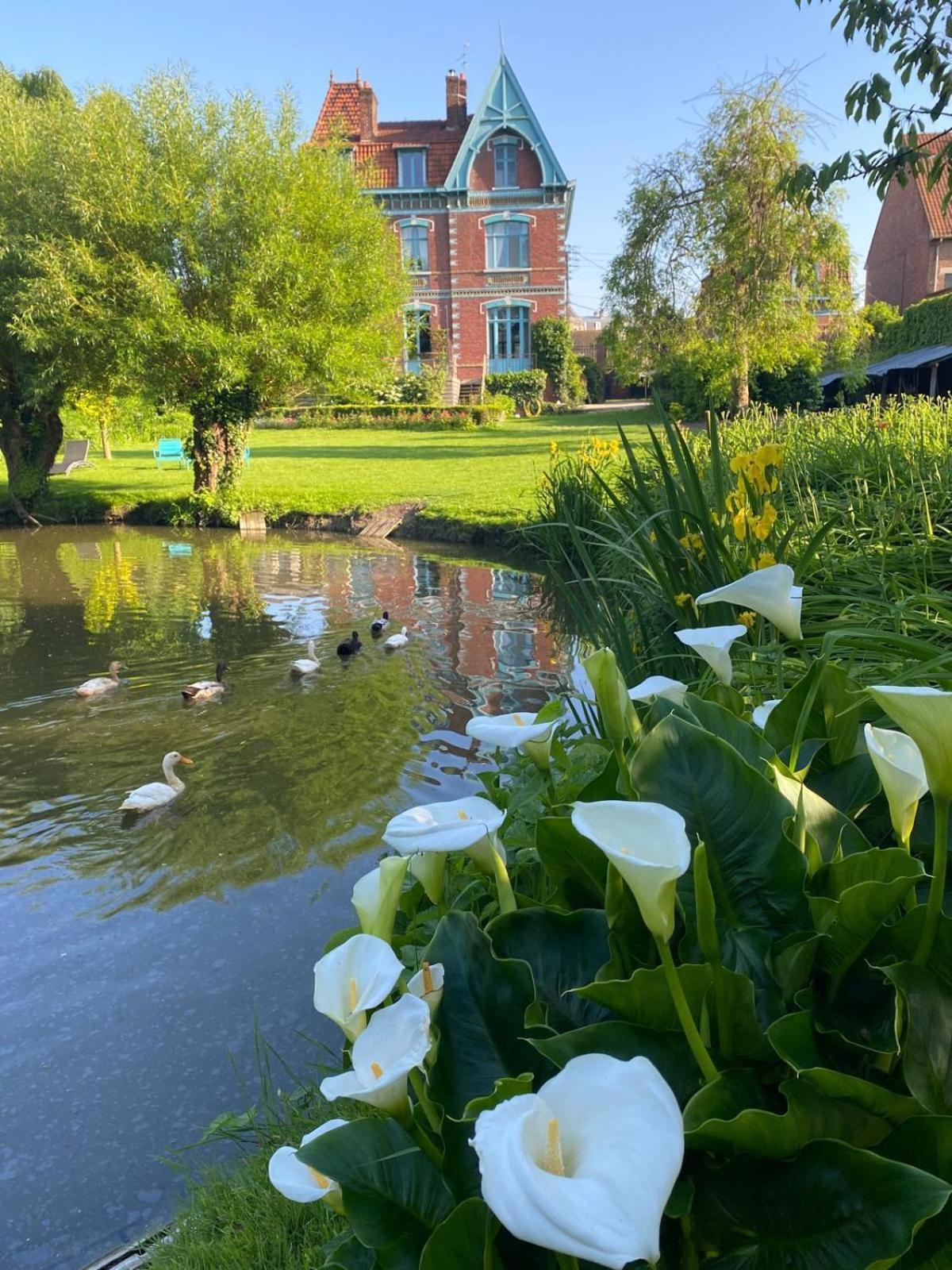 Villa Marguerite - Chambres D'Hotes Saint-Omer  Zewnętrze zdjęcie